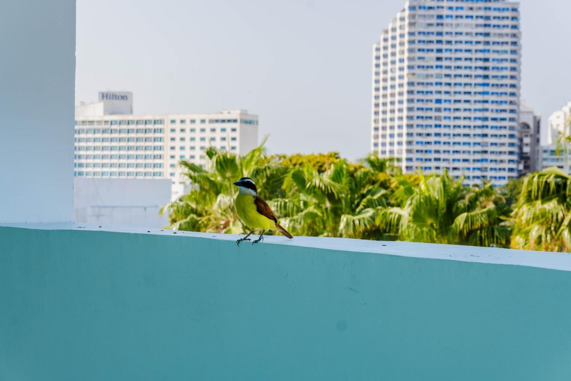 Hotel Coral Reef Cartagena